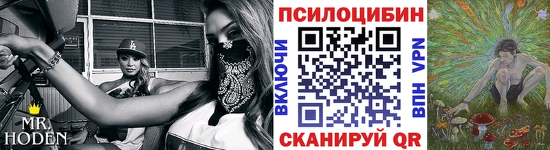 Галлюциногенные грибы Psilocybe Можга